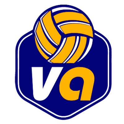 Volleyart logo